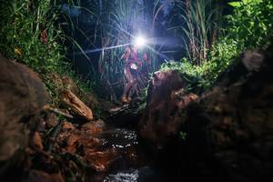 BIB: 
                            <button type="button" onclick="openModal(26416786)" class="btn btn-primary btn-sm float-right btn-popup" data-toggle="modal" data-target=".modal-high-quality">
                        <i class="fas fa-shopping-cart"></i> Add to Cart
                    </button>
                                            <button type="button" onclick="isThisMe(26416786, true)" class="btn btn-success btn-sm float-right btn-popup btn-isme hidden" data-toggle="tooltip" data-placement="bottom" title="นี่คือรูปของคุณใช่ไหม คลิกที่นี่เพื่อเอาเข้าอัลบั้ม">
                        <i class="fas fa-plus"></i> Add to album
                    </button>
                    <button type="button" onclick="isThisMe(26416786, false)" class="btn btn-warning btn-sm float-right btn-popup btn-isnotme hidden">
                        <i class="fas fa-ban"></i> Remove from album
                    </button>